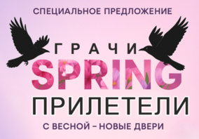 Весна с акцией "Грачи прилетели" от FALKO